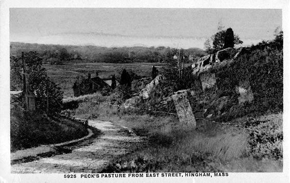 Pecks Pasture from East Street